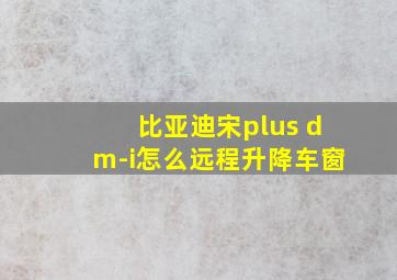 比亚迪宋plus dm-i怎么远程升降车窗